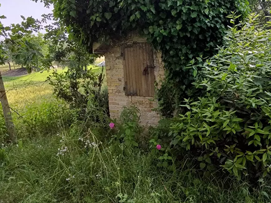 Immagine 11 di Rustico / casale in vendita  a Corinaldo