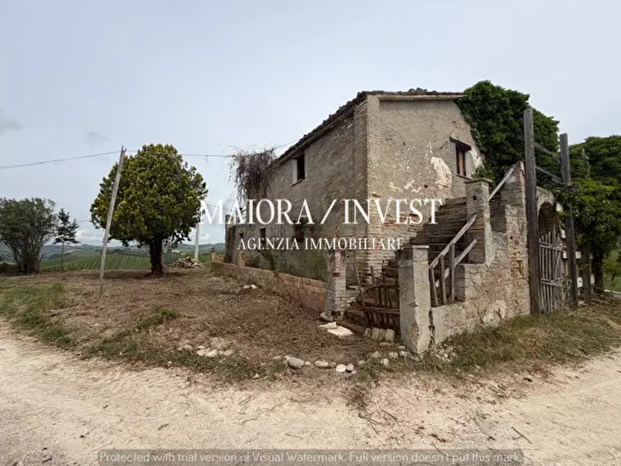 Immagine 3 di Rustico / casale in vendita  a Acquaviva Picena