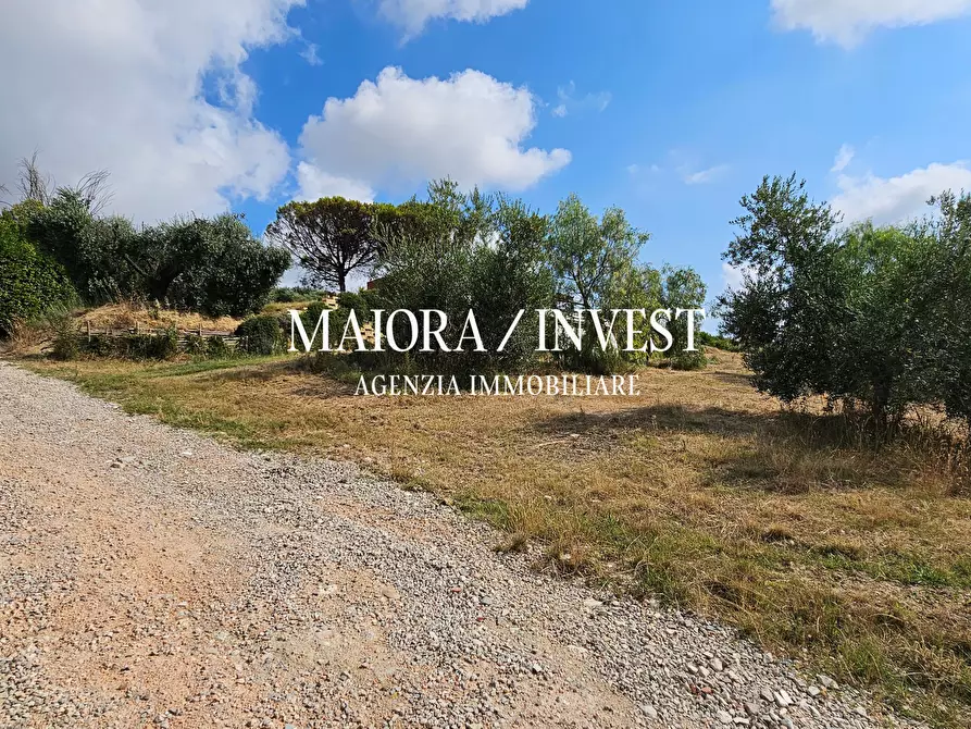 Immagine 6 di Agriturismo in vendita  a Monteprandone