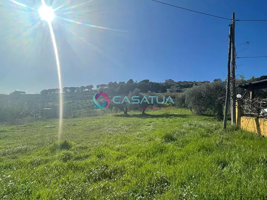 Immagine 22 di Terreno agricolo in vendita  a Silvi