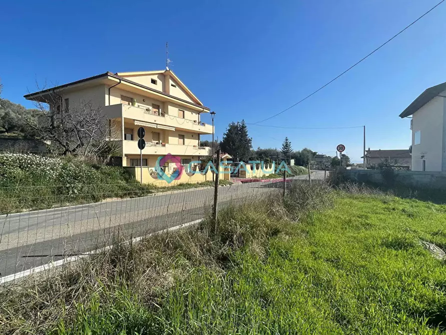 Immagine 27 di Terreno agricolo in vendita  a Silvi