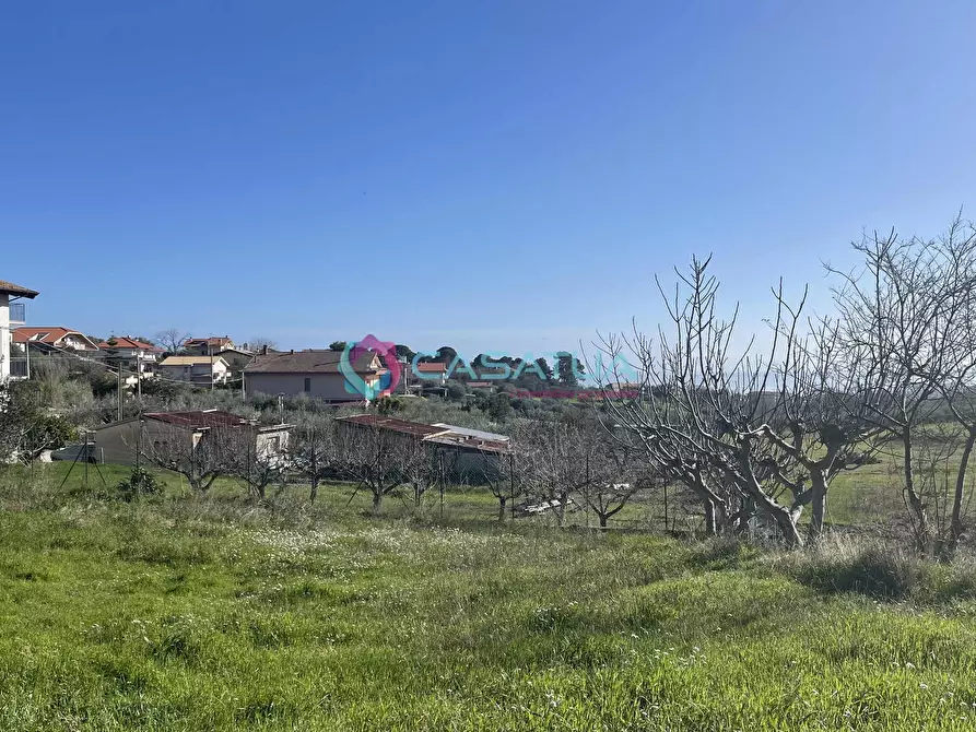 Immagine 8 di Terreno agricolo in vendita  a Silvi