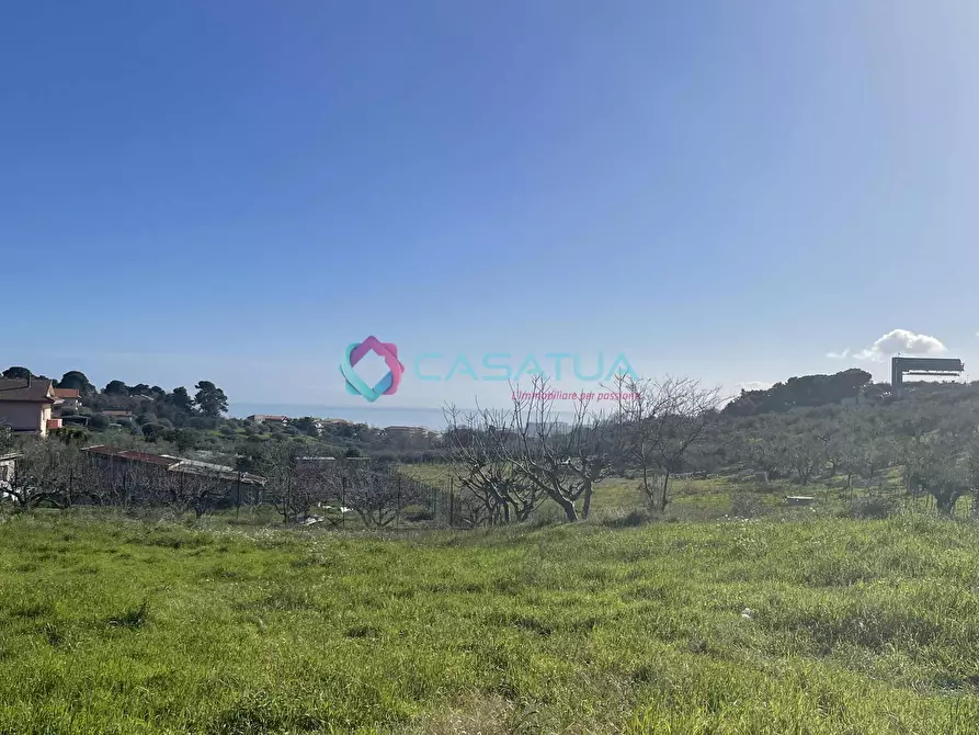 Immagine 5 di Terreno agricolo in vendita  a Silvi