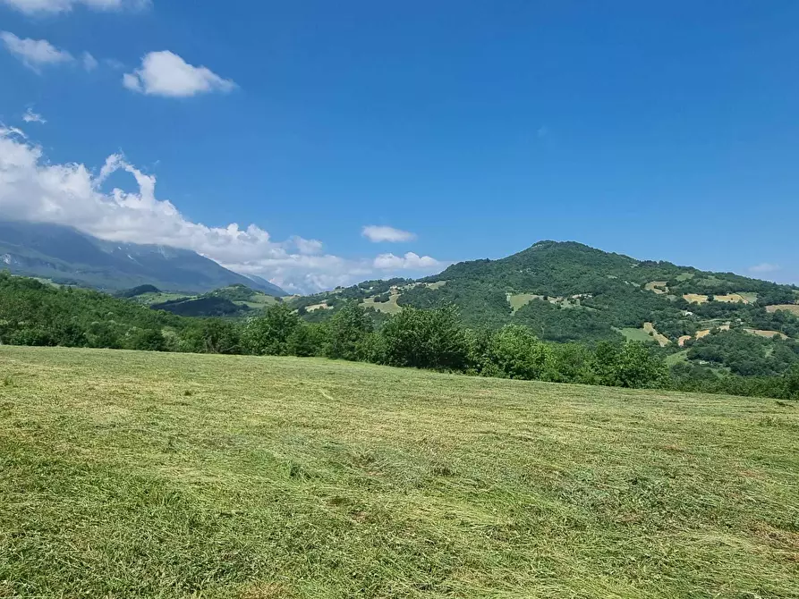Immagine 26 di Terreno agricolo in vendita  a Farindola