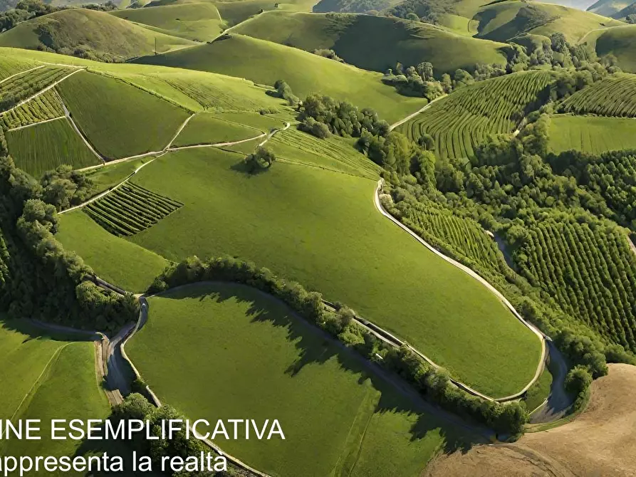 Immagine 17 di Terreno edificabile in vendita  in Via Montefrancio 46 a Castelnuovo Magra