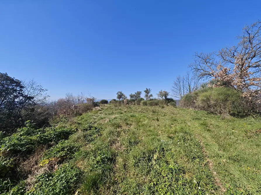 Immagine 45 di Porzione di casa in vendita  in Via Palazzina 8 a Fosdinovo