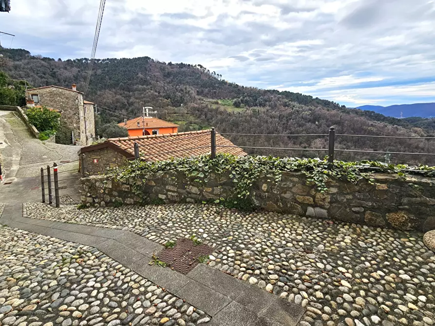 Immagine 52 di Terratetto in vendita  in Via San Rocco 12 a Sarzana