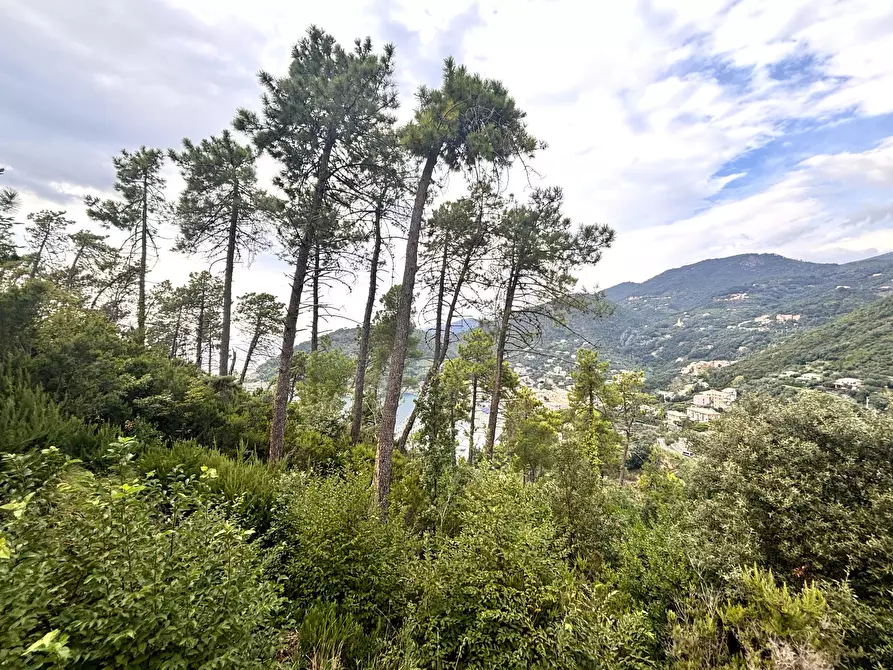 Immagine 4 di Villa in vendita  in Via Orlando Grosso 6 a Bonassola