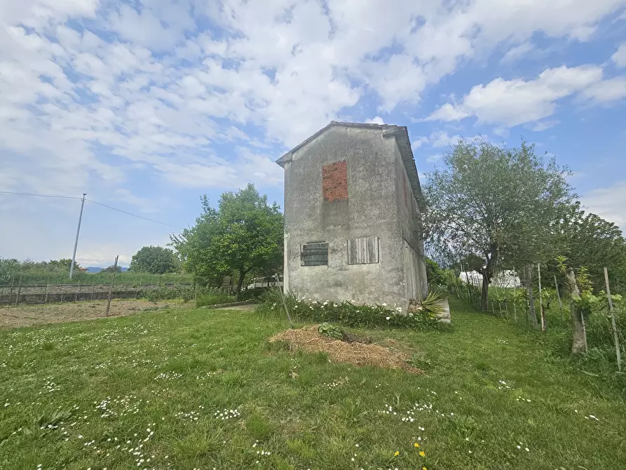 Immagine 7 di Rustico / casale in vendita  in Via Arena 12 a Ameglia