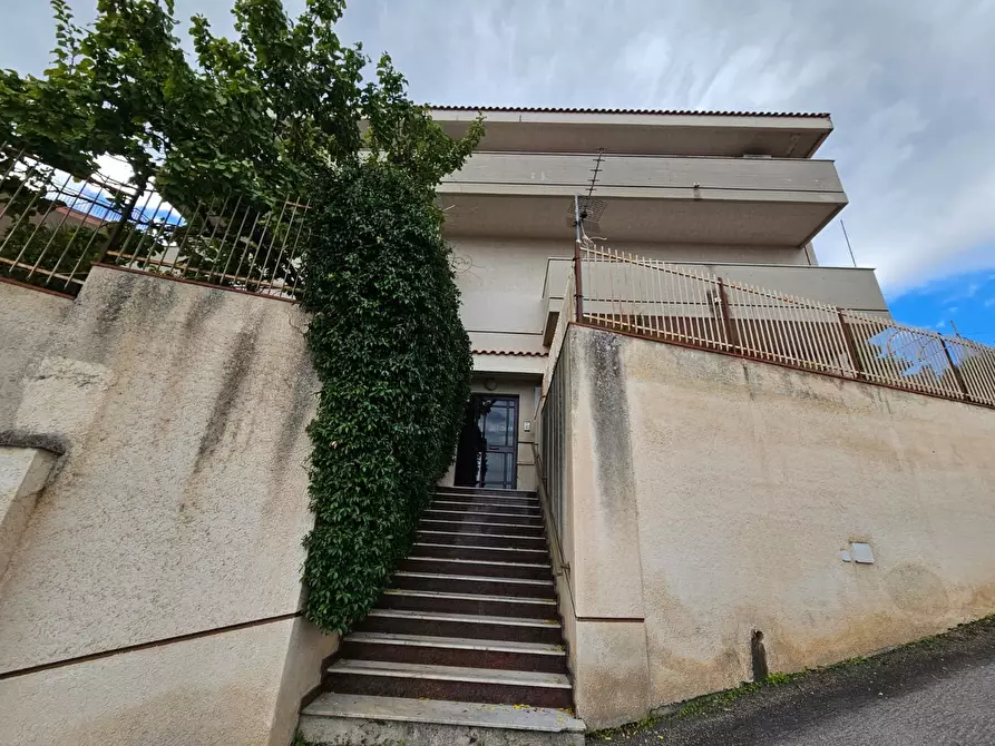 Immagine 2 di Trilocale in affitto  in Via Rosina Ferrario 20 a Palermo