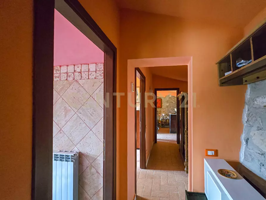 Immagine 21 di Rustico / casale in vendita  in Località Camaiano snc a Roccastrada