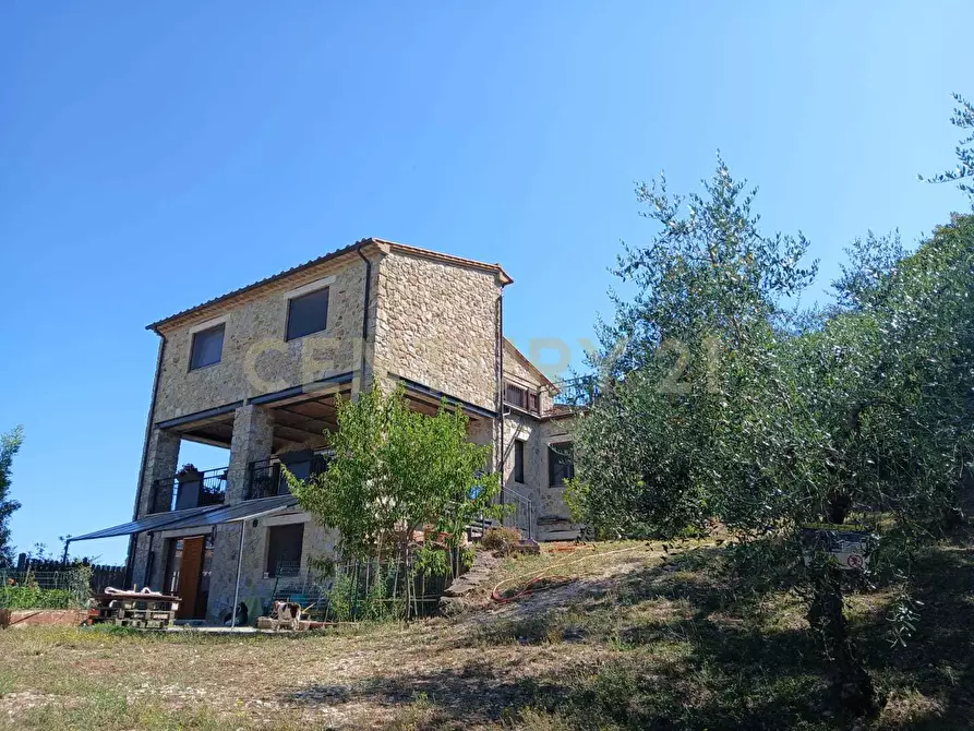 Immagine 37 di Villa in vendita  in Località Poggio Murella 165 a Manciano