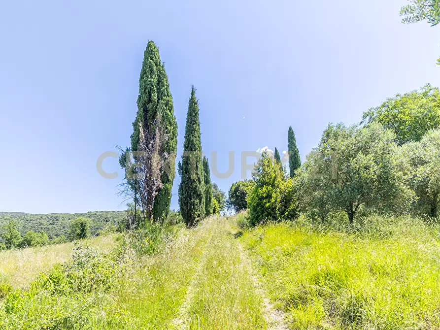 Immagine 32 di Rustico / casale in vendita  in Via Tiberina 384 a Narni