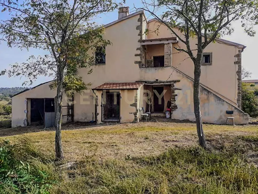 Immagine 1 di Rustico / casale in vendita  in località mandorlaie a Scansano