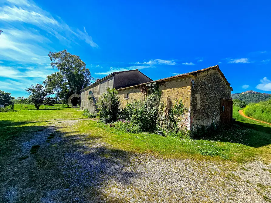 Immagine 1 di Casa indipendente in vendita  in Località Vaticino 11 a Castiglione Della Pescaia