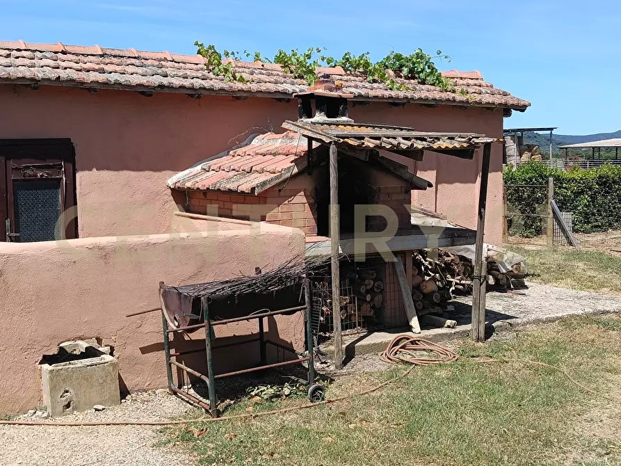 Immagine 14 di Rustico / casale in vendita  in SR74 148 a Orbetello