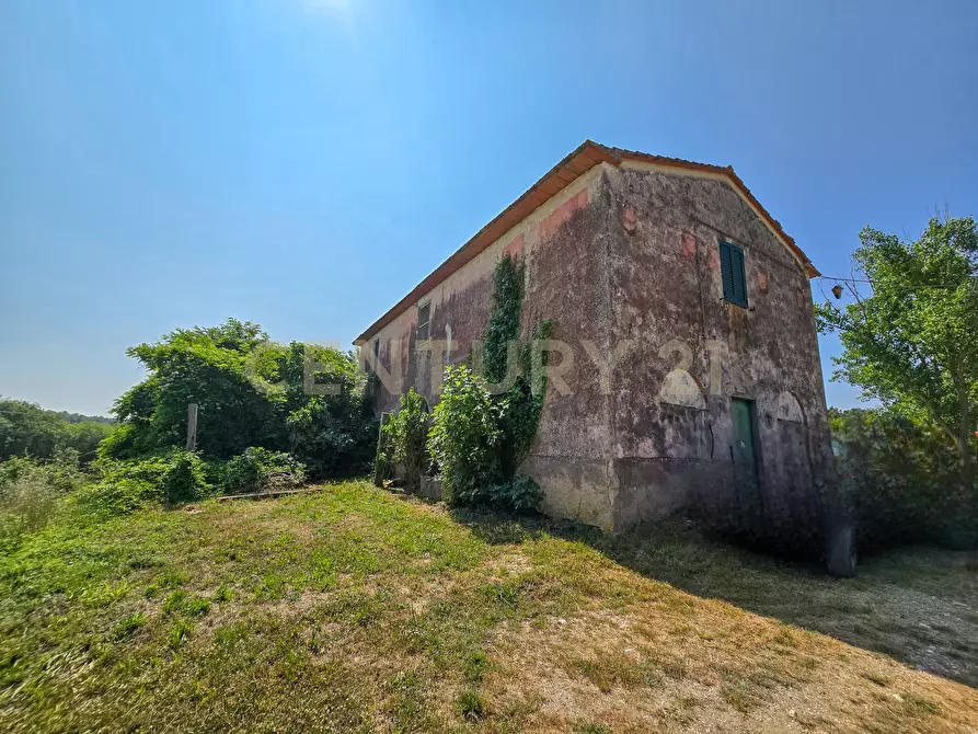 Immagine 2 di Rustico / casale in vendita  in Via del Madonnino 1954 a Roccastrada