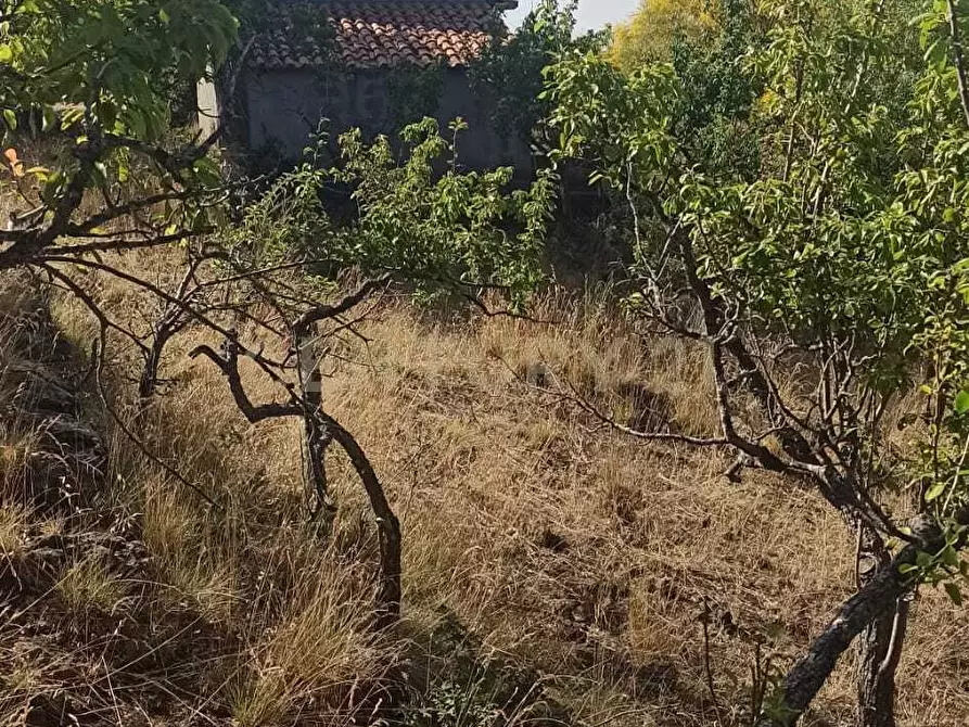 Immagine 29 di Terreno agricolo in vendita  in C.da Filiciusa a Biancavilla