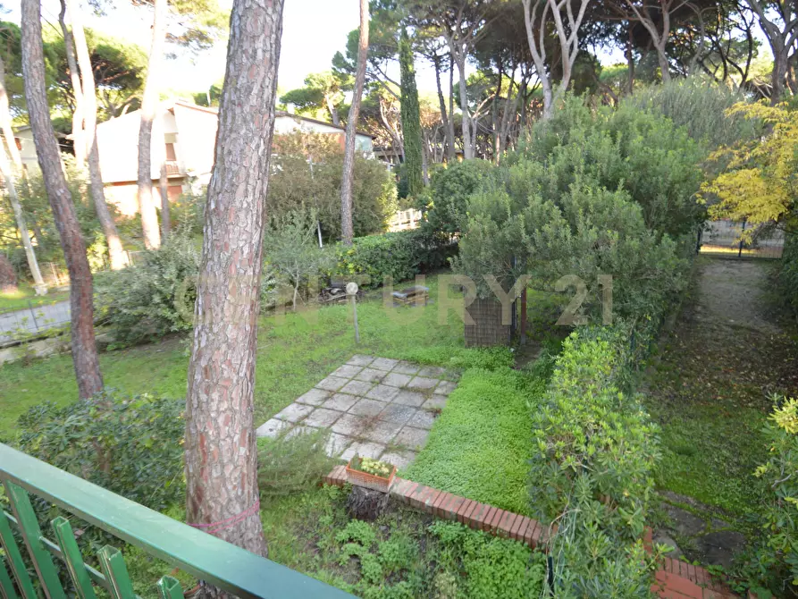 Immagine 23 di Casa trifamiliare in vendita  in Via Murene 35 a Grosseto