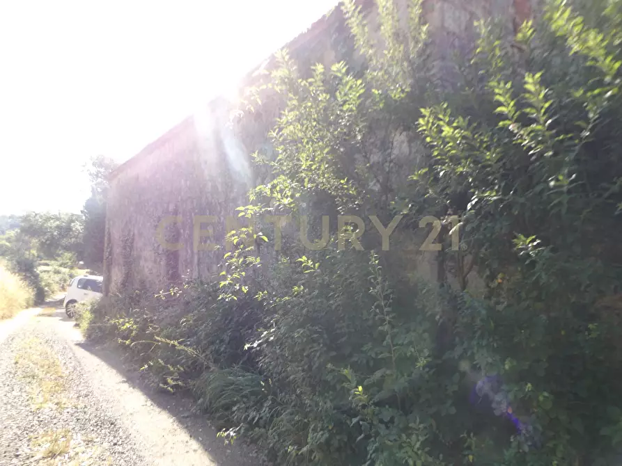 Immagine 7 di Rustico / casale in vendita  in LOCALITA CASETTE a Roccastrada