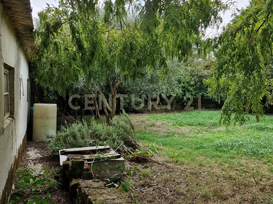 Immagine 26 di Casa indipendente in vendita  in via cavetto di mezzo 20 a Castelnovo Bariano