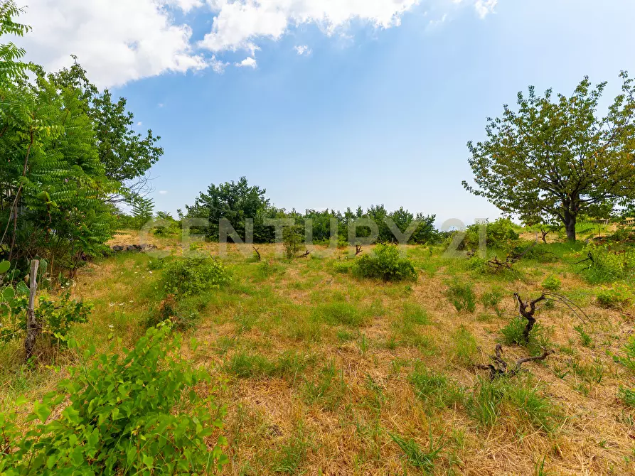 Immagine 36 di Villa in vendita  in Via Grazia Deledda 28 a Santa Venerina