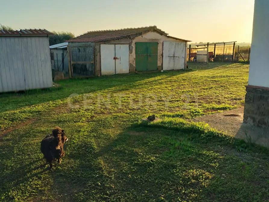 Immagine 17 di Rustico / casale in vendita  in Strada Pedemontana a Capalbio
