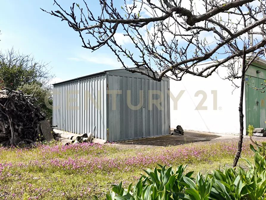 Immagine 8 di Terreno agricolo in vendita  in Contrada malvezzaro a Santa Maria Di Licodia