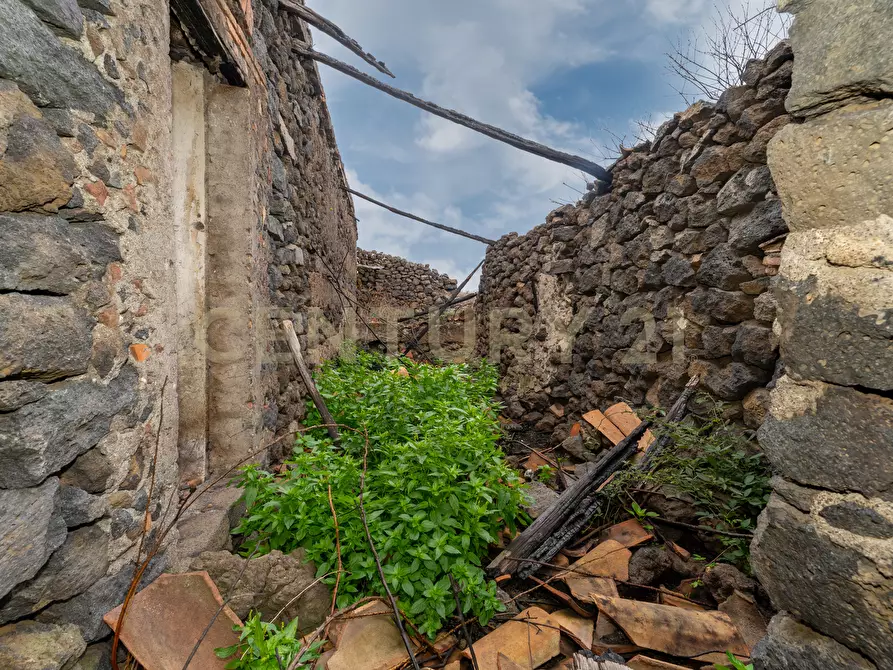 Immagine 18 di Terreno agricolo in vendita  in Via Santa Maria di Licodia a Belpasso