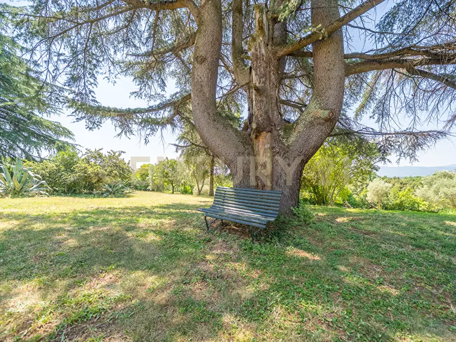 Immagine 35 di Villa in vendita  in Via Pedemontana 319 a Palestrina