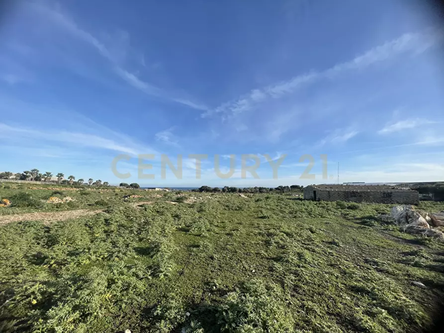 Immagine 10 di Terreno agricolo in vendita  in CONTRADA CORRIDORE CAMPANA SNC a Portopalo Di Capo Passero