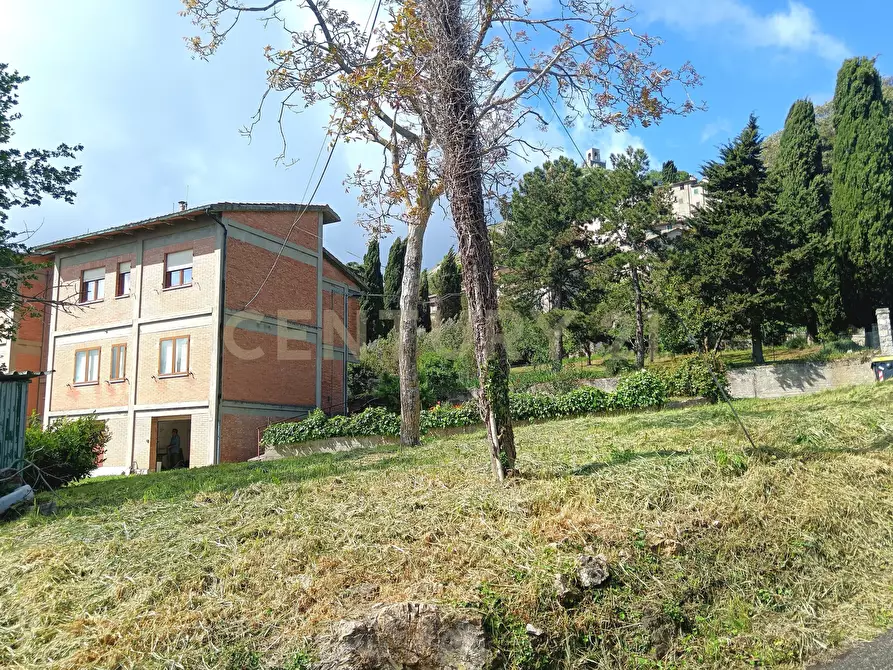 Immagine 4 di Pentalocale in vendita  in Via della Chiesa 1 a Castiglione D'orcia