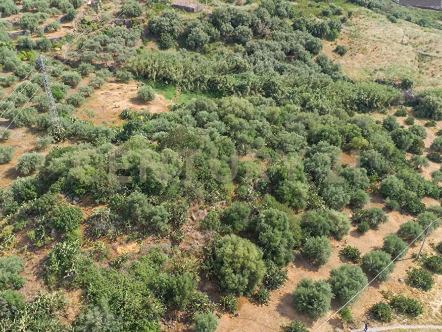 Immagine 20 di Terreno agricolo in vendita  in Via San Leo a Adrano