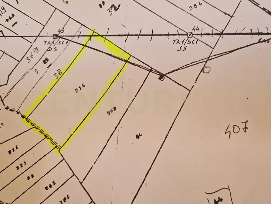 Immagine 2 di Terreno agricolo in vendita  in Via Margarone 5 a Motta Sant'anastasia