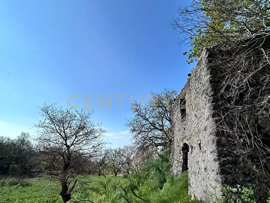 Immagine 5 di Terreno agricolo in vendita  in CONTRADA VIGNE a Biancavilla