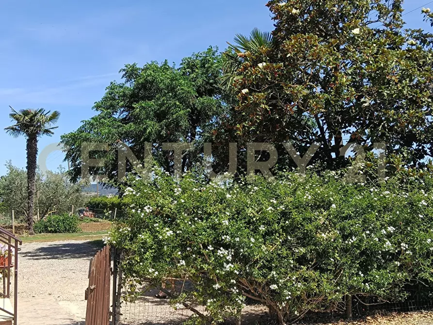 Immagine 17 di Rustico / casale in vendita  in SR74 148 a Orbetello