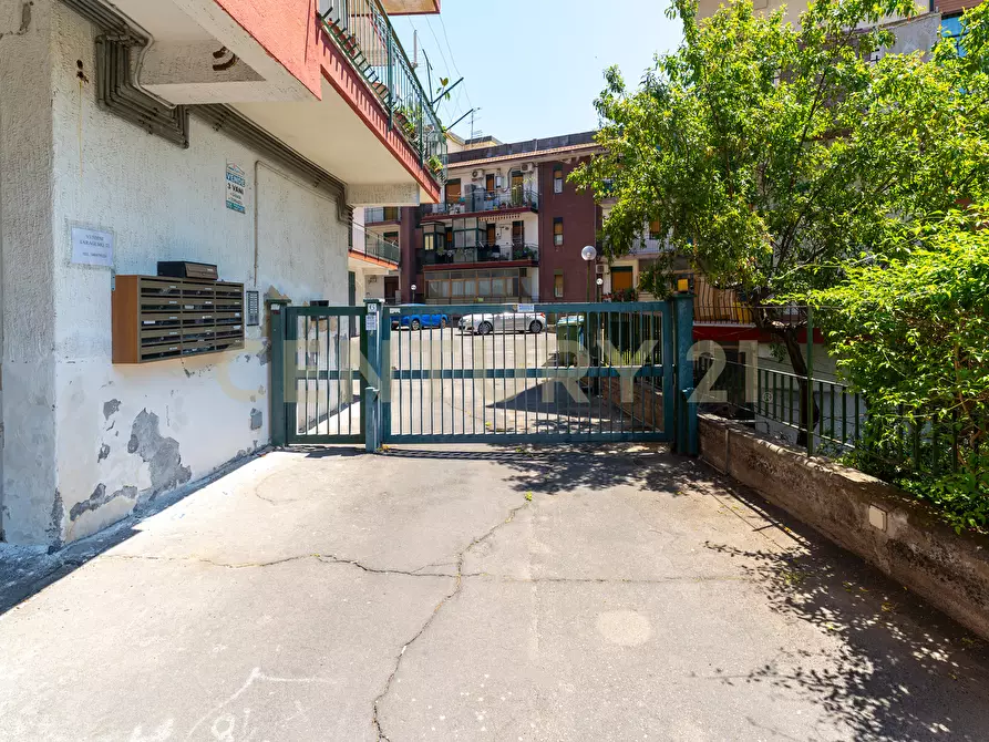 Immagine 3 di Appartamento in vendita  in Via Carmelitani 6 a San Giovanni La Punta