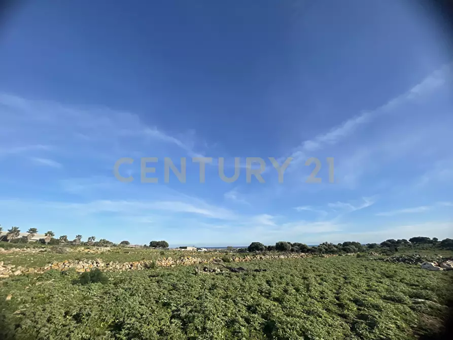 Immagine 25 di Terreno agricolo in vendita  in CONTRADA CORRIDORE CAMPANA SNC a Portopalo Di Capo Passero
