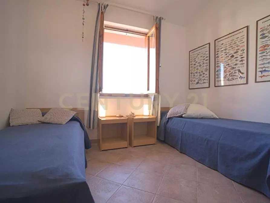 Immagine 12 di Quadrilocale in vendita  in Via dell'Arenella a Isola Del Giglio