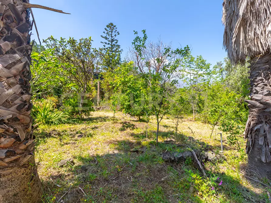 Immagine 6 di Rustico / casale in vendita  in Via Roccamena 84 a Acireale