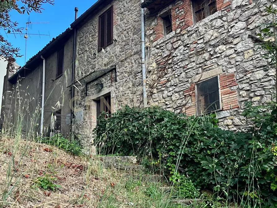 Immagine 21 di Terratetto in vendita  in Via Firenze a Semproniano