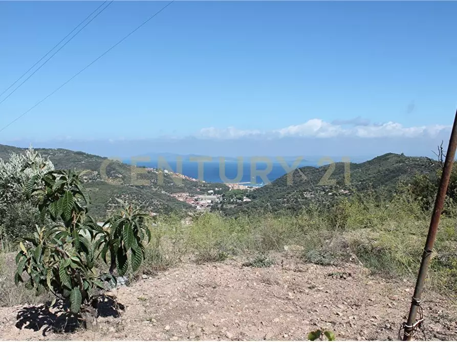 Immagine 8 di Rustico / casale in vendita  in via cannatelli 56 a Monte Argentario