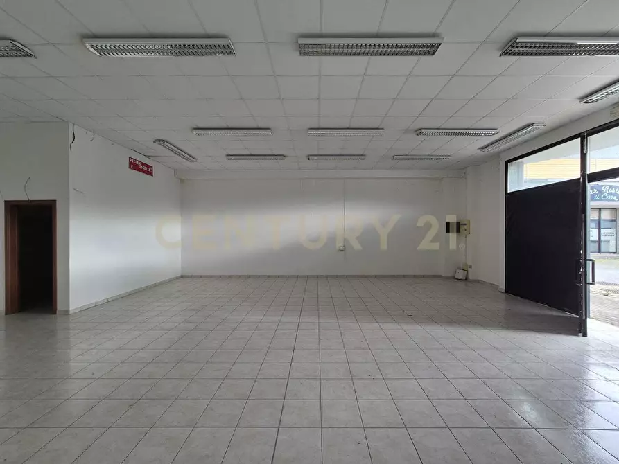 Immagine 5 di Locale commerciale in vendita  in Cerro Sughero a Campagnatico