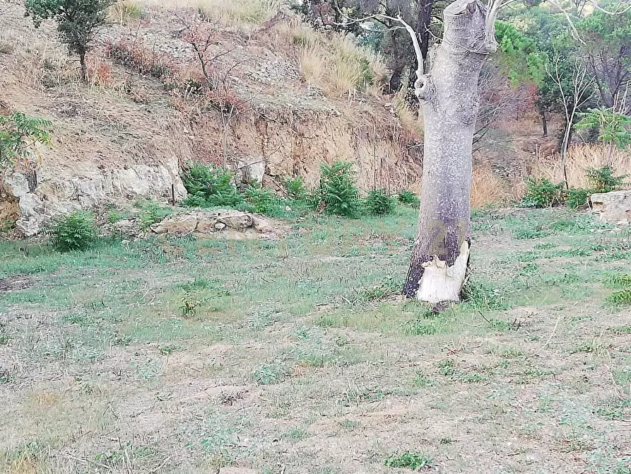 Immagine 10 di Terreno agricolo in vendita  in Contrada Piano Cannata Balatazza a Piazza Armerina