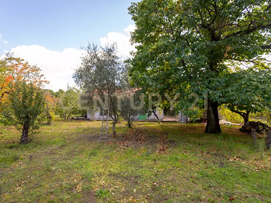 Immagine 21 di Villa in vendita  in Contrada Scolaro Cisterna a Adrano