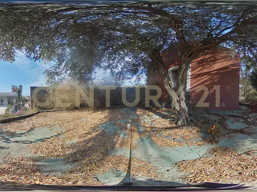 Immagine 55 di Villa in vendita  in Via Gallinaro 22 a Aci Castello