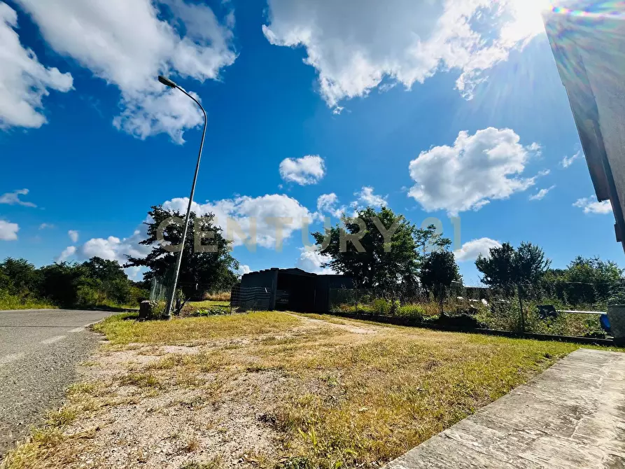 Immagine 16 di Appartamento in vendita  in Via Case Balducci 17 a Scansano