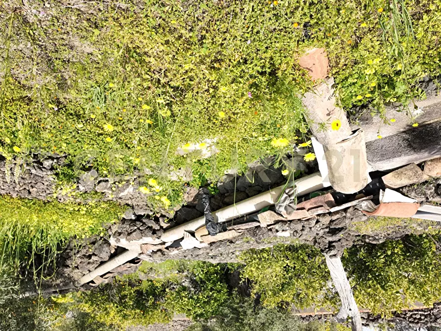 Immagine 12 di Terreno agricolo in vendita  in Contrada malvezzaro a Santa Maria Di Licodia