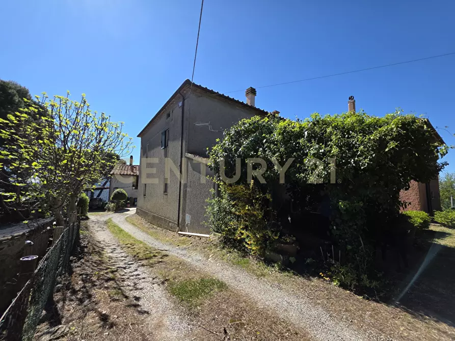 Immagine 37 di Rustico / casale in vendita  in località cesi a Gavorrano