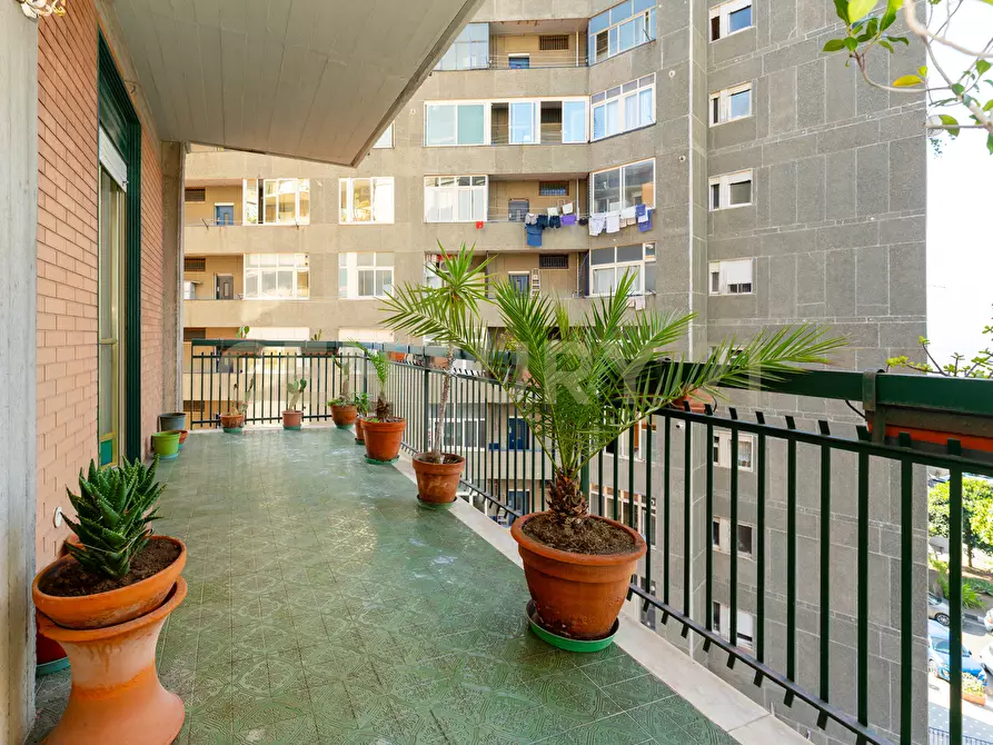 Immagine 45 di Appartamento in vendita  in Viale Alcide De Gasperi 187 a Catania